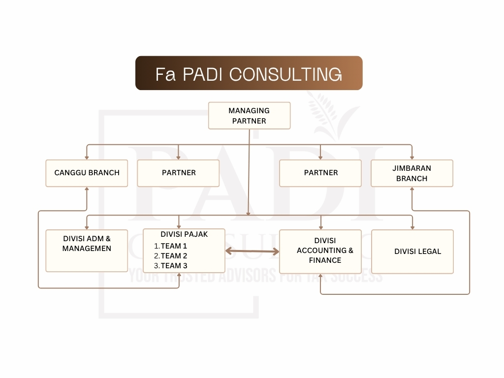 Bagan Struktur Organisasi Fa PADI Consulting